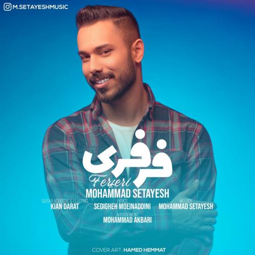 محمد ستایش فرفری